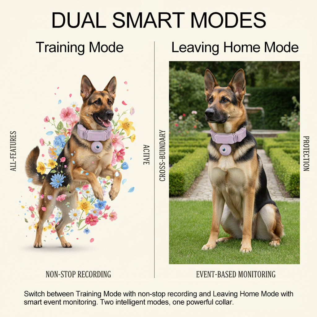 FetchLink C08 Smart Pet Collar with GPS E-fencing 1080P FHD Camera