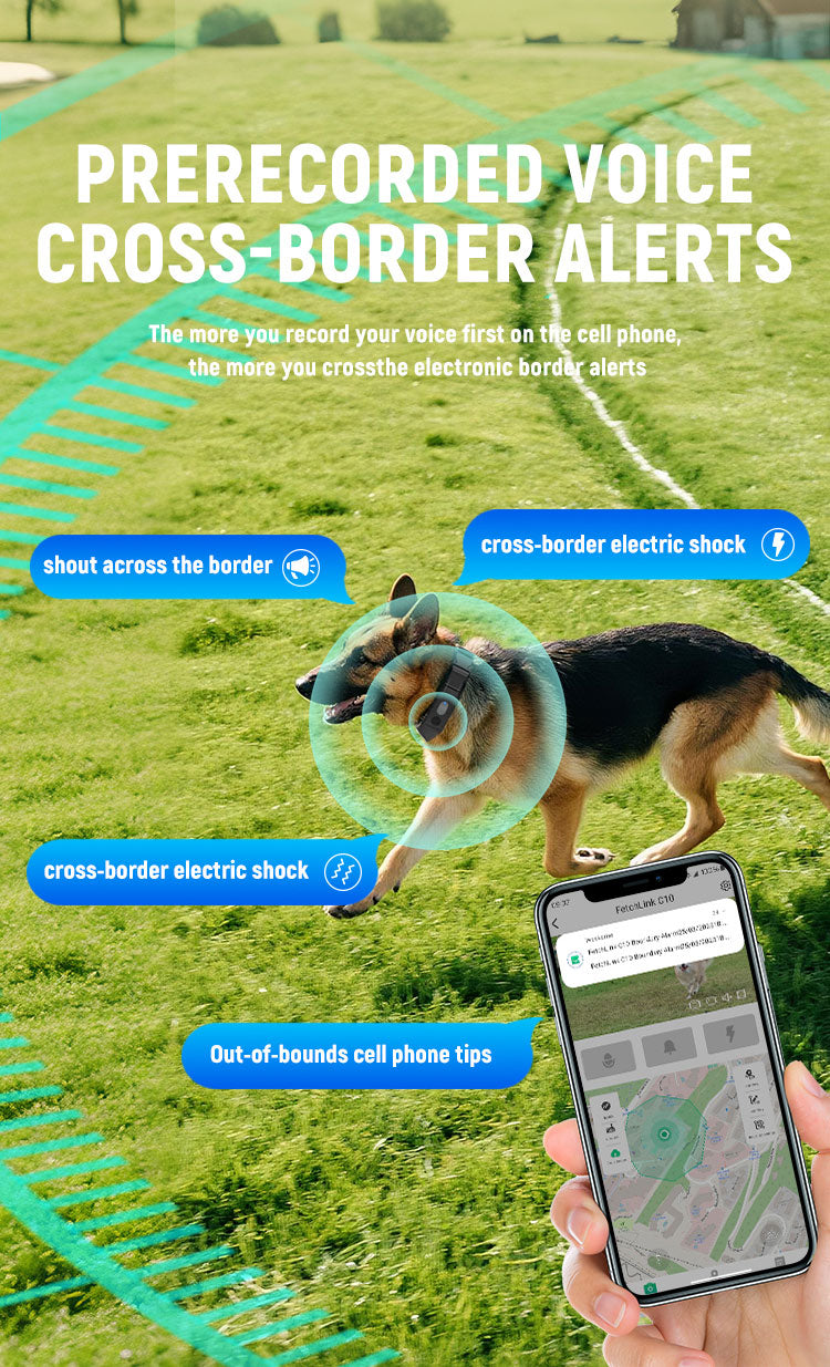 FetchLink C10 Smart GPS Pet Collar with Integrated 2MP Live Camera