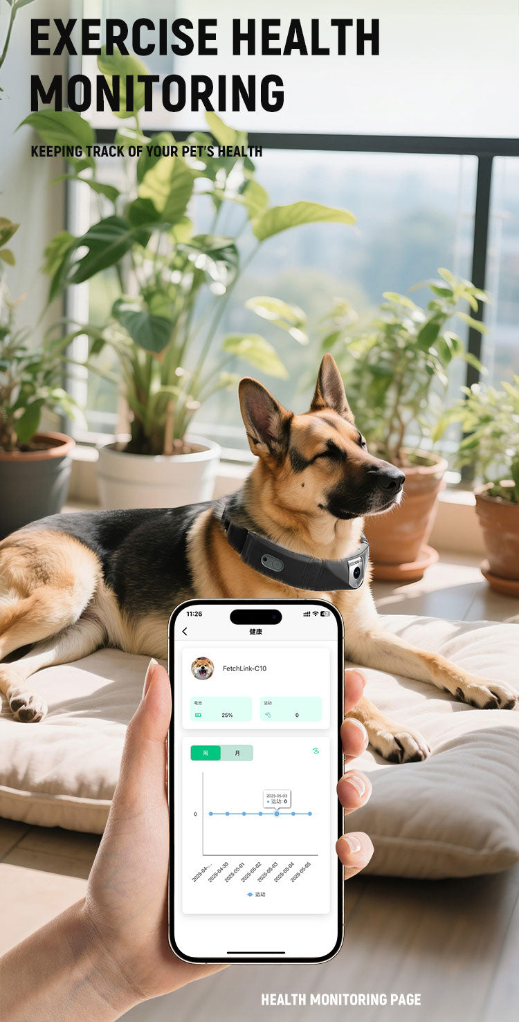 FetchLink C10 Smart GPS Pet Collar with Integrated 2MP Live Camera