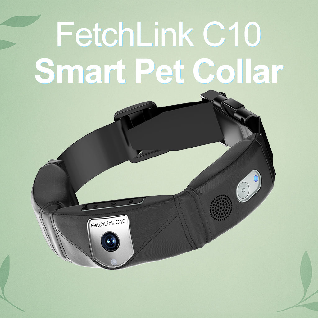FetchLink C10 Smart GPS Pet Collar with Integrated 2MP Live Camera
