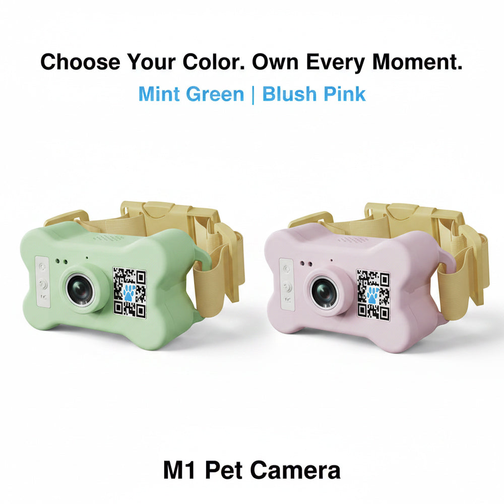 FetchLink M1 Pet Collar Camera – 4G Live Stream, Anti-Shake, Health Monitor & Behavior Correction