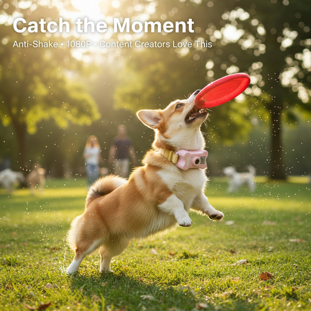 FetchLink M1 Pet Collar Camera – 4G Live Stream, Anti-Shake, Health Monitor & Behavior Correction