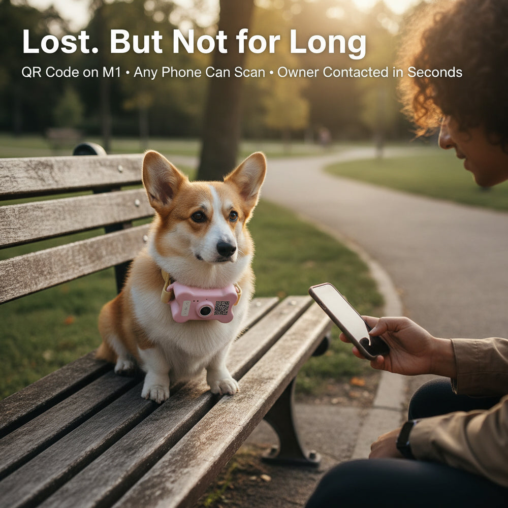 FetchLink M1 Pet Collar Camera – 4G Live Stream, Anti-Shake, Health Monitor & Behavior Correction