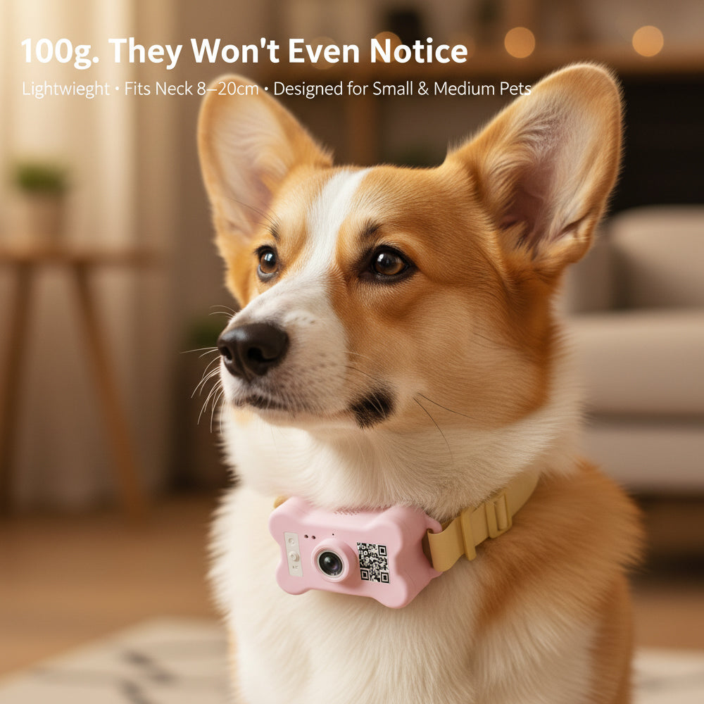 FetchLink M1 Pet Collar Camera – 4G Live Stream, Anti-Shake, Health Monitor & Behavior Correction