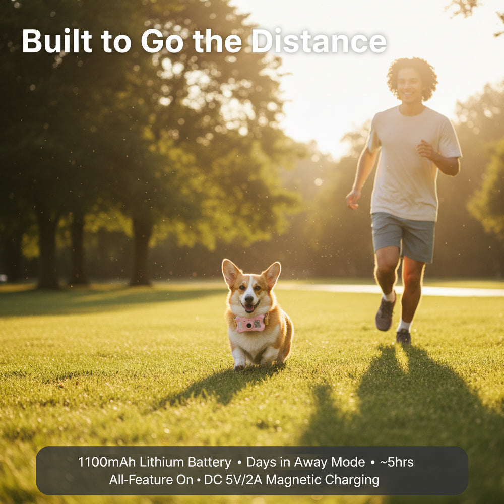 FetchLink M1 Pet Collar Camera – 4G Live Stream, Anti-Shake, Health Monitor & Behavior Correction