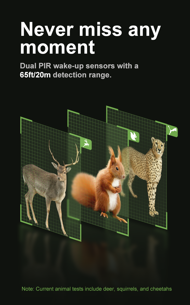 S29-D IP66 Wireless Solar Trail Camera Time Lapse Wildlife Monitoring Hunting Camera