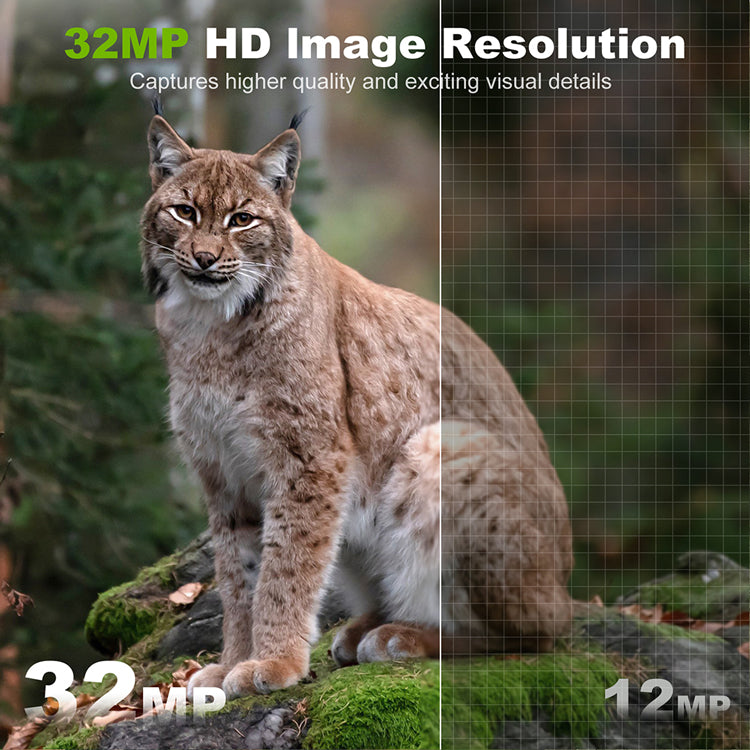 S29-C Wireless Built-in Battery Trail Camera Time Lapse Wildlife Monitoring Hunting Camera